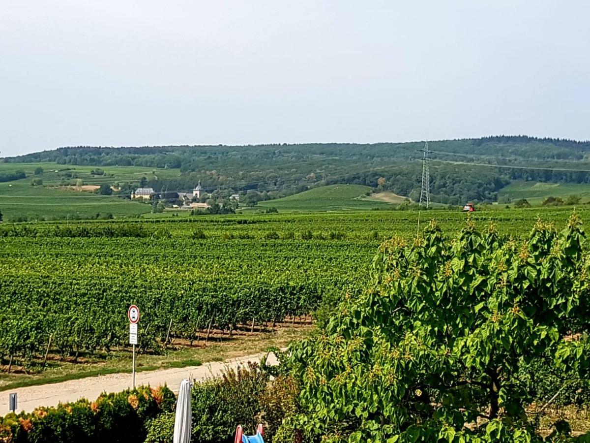 Ferienzimmer Weingut Mack Oestrich-Winkel Zewnętrze zdjęcie