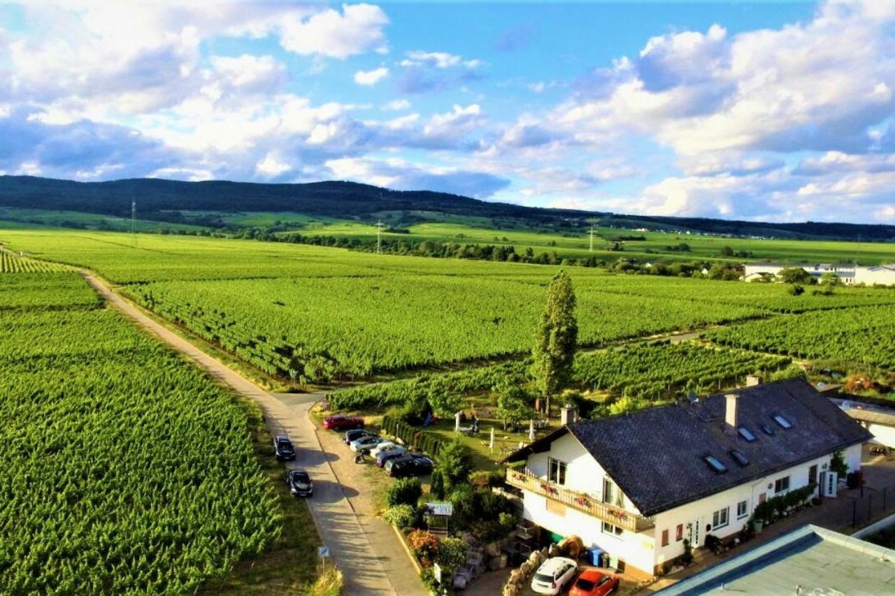 Ferienzimmer Weingut Mack Oestrich-Winkel Zewnętrze zdjęcie